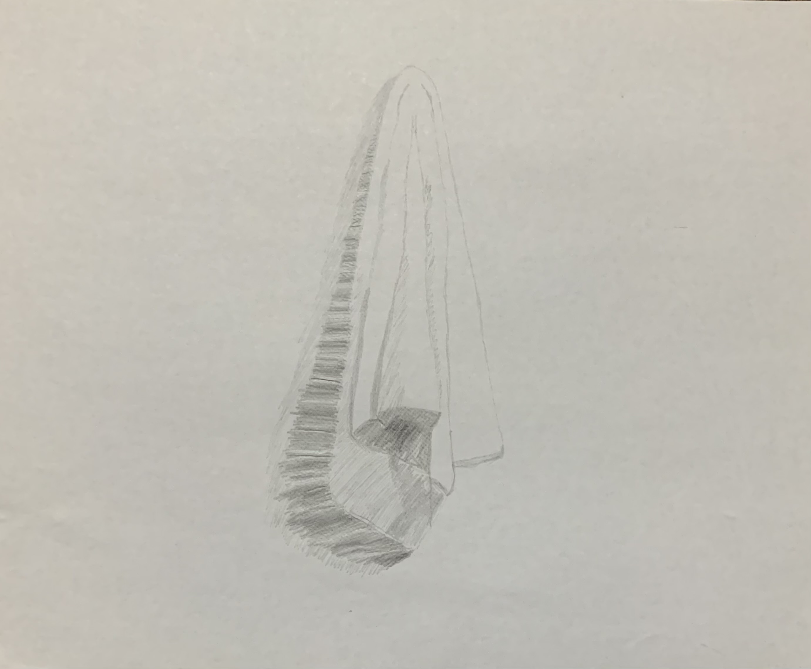 Mountain Handkerchief